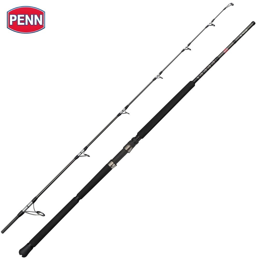 PENN Offshore Casting Rod ALLY II 2.21m/Max 80g