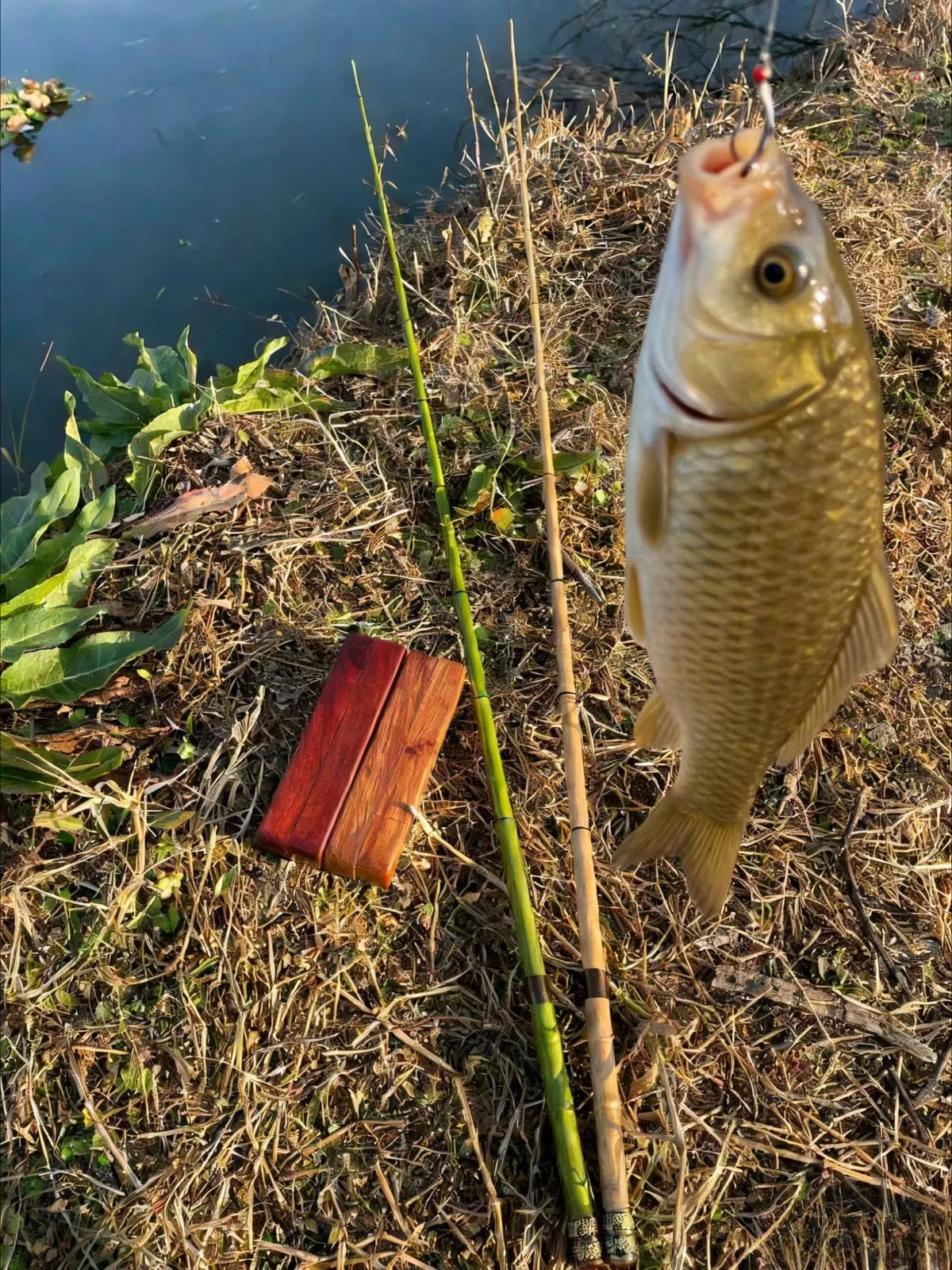 Ultralight Tenkara Rod Wooden Storage Box Portable Short Section Travel Kit
