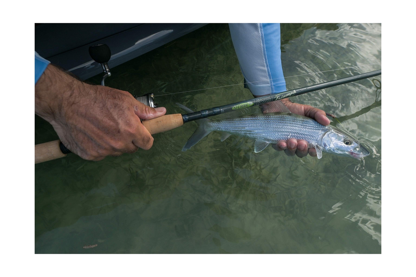 St. Croix Rods Triumph Inshore Spinning Rod, TRIS 7’0″ Medium-heavy/Fast 1 Pc.