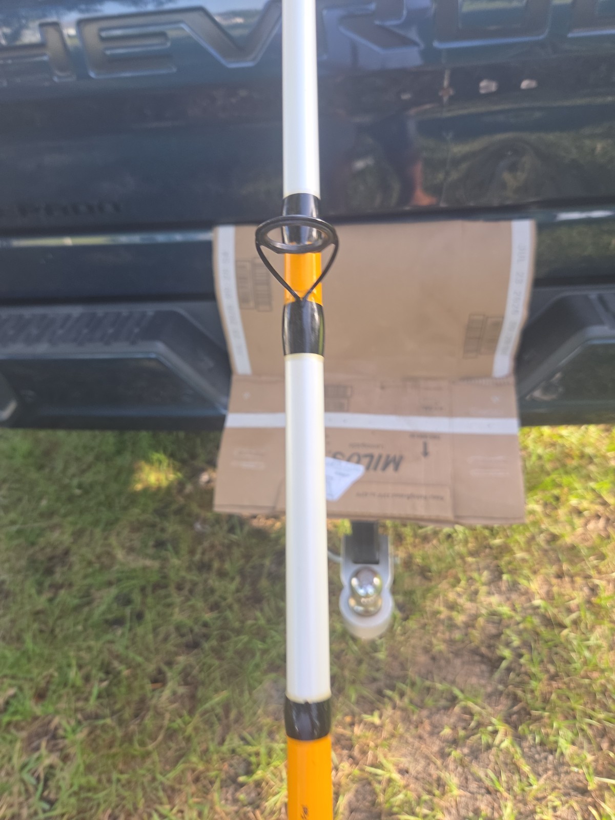 bass pro shop king cat spinng rod