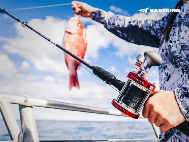 KONG Fishing Rod, Powerful, Lightweight S-Curve Graphite Rod Blanks, Nano Res…