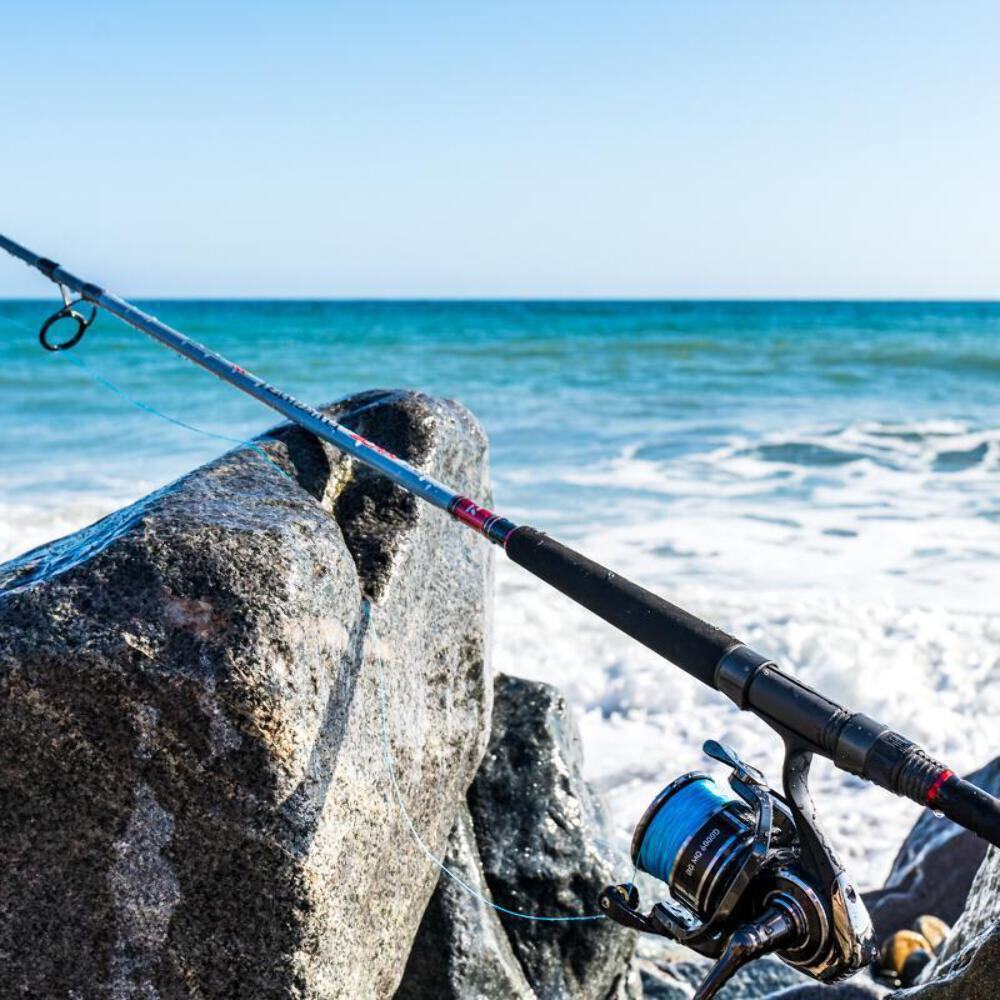 DAIWA TEAM DAIWA SURF SPINNING ROD