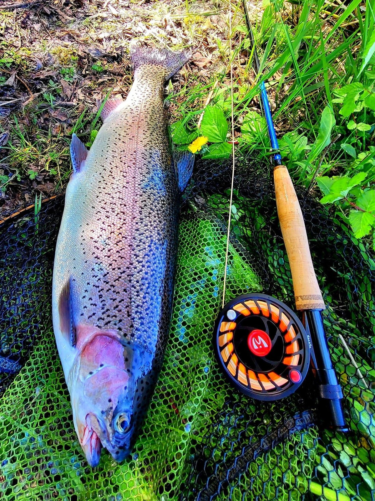 Extreme-X Fly Fishing Rod 5wt 9′ Fast Action with Extra Tip Section Tube