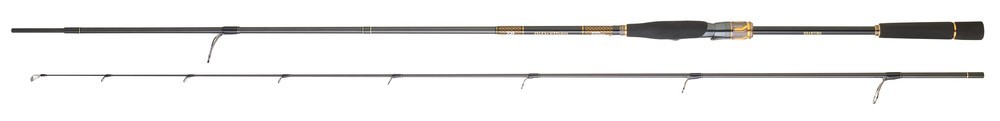 Daiwa Morethan Branzino Expert AGS