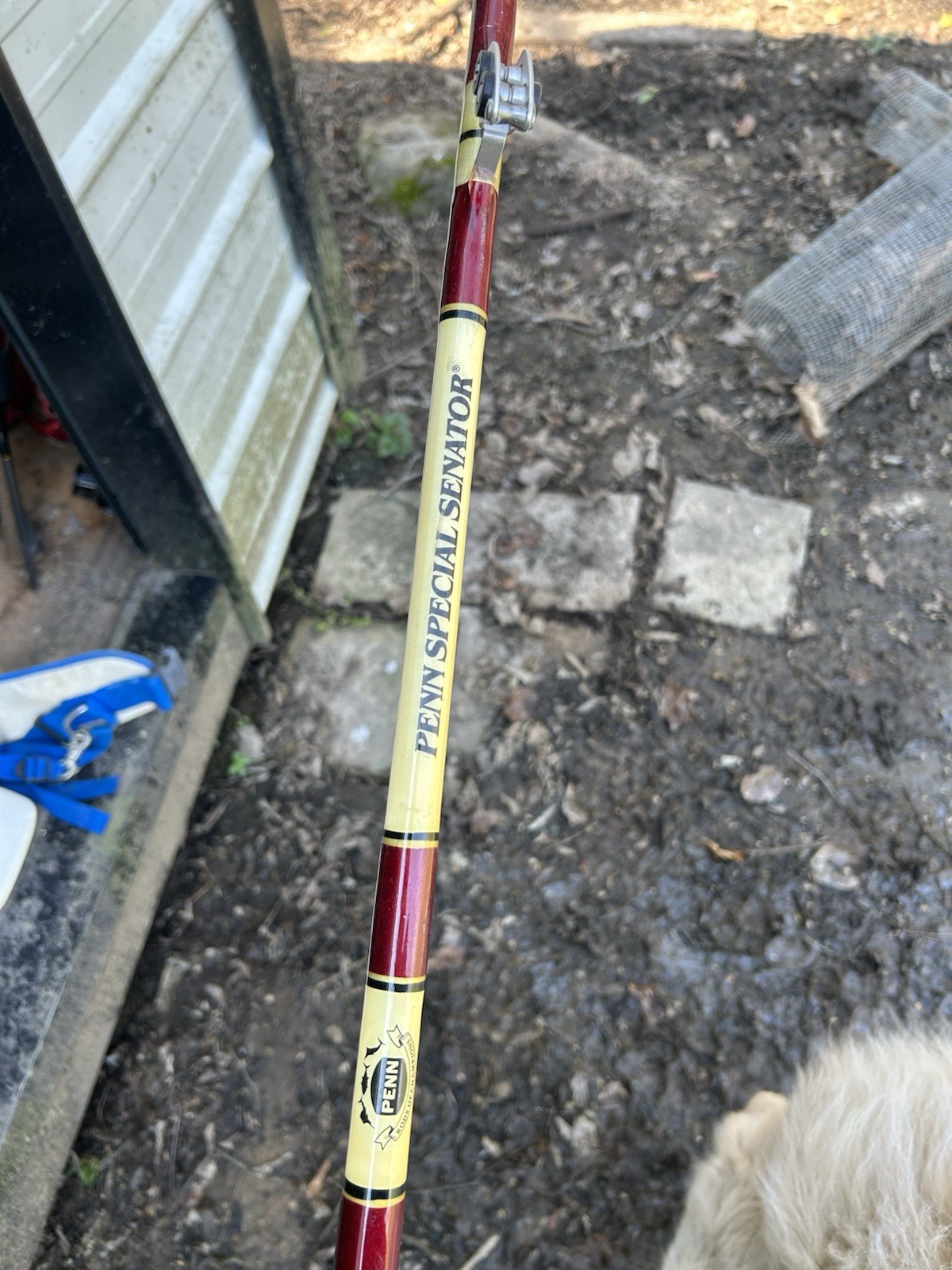 PENN Special Senator 9/0 Saltwater Trolling Rod 3’10” 50-80lb Fiberglass