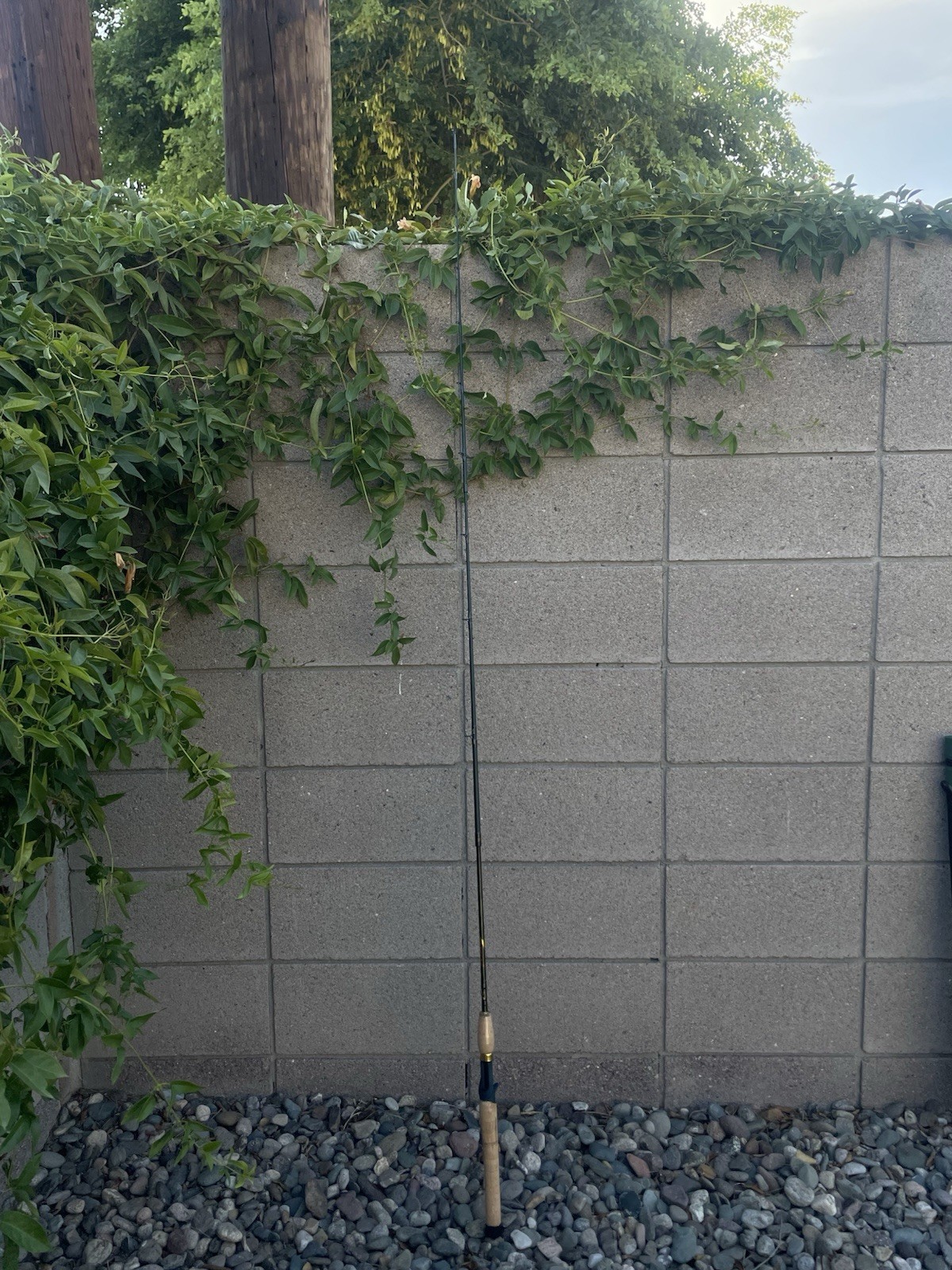 Perfect Condition Vintage Bass Pro Shops Xps Extreme 6′ 6″ Baitcaster Rod.