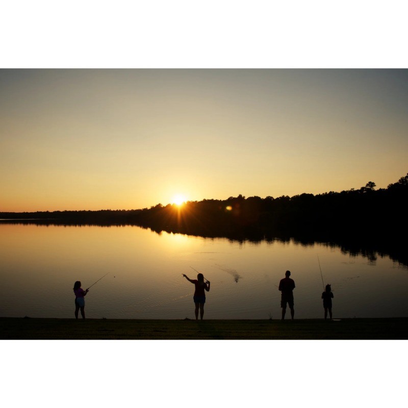 Shakespeare DURANGO Spinning Rod, 12′ Light Fishing Rod