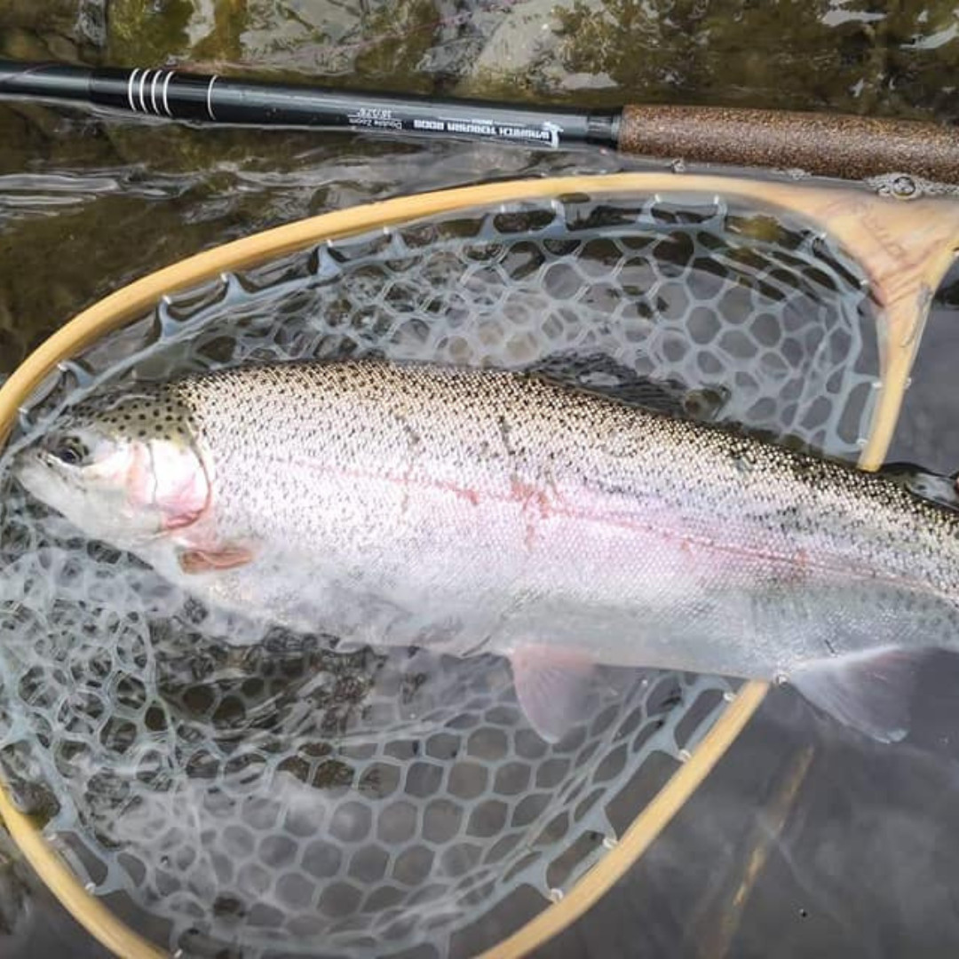 Wasatch RodZilla 16′-17’6″ Double Zoom 8:2 Action Carbon Tenkara Rod w/ Rod Tube
