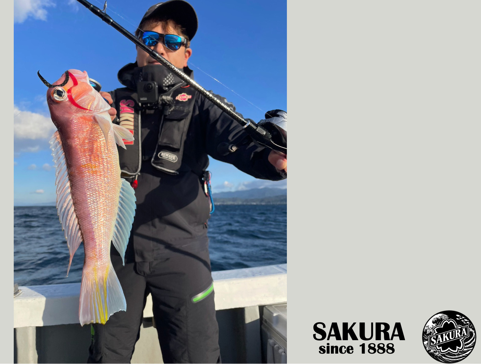 Travel Rod for All Saltwater SAKURA THUNDER SOUL-QX TR-66XH 6’6″ 3pc Fuzi EVA