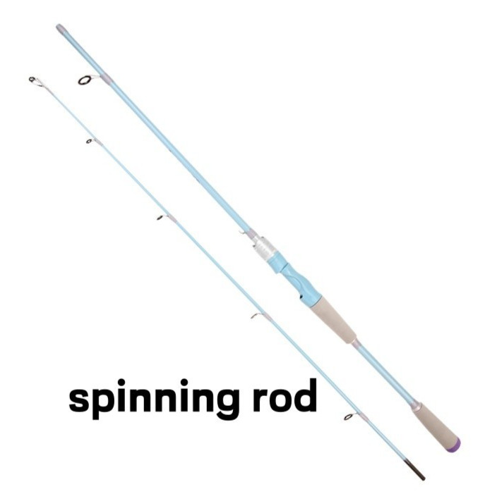Bass Fishing Rod Carbon Fiber Spinning/Casting Fishing Pole Bait WT 4-32G Rods