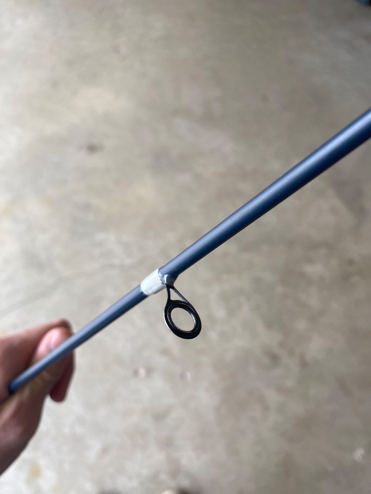 scheels spinning rod