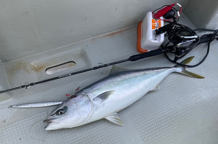 SHIMANO 25 OCEA EJ electric Jigging grip joint offshore jigging