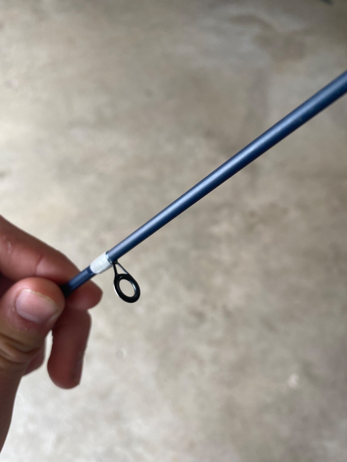 scheels spinning rod