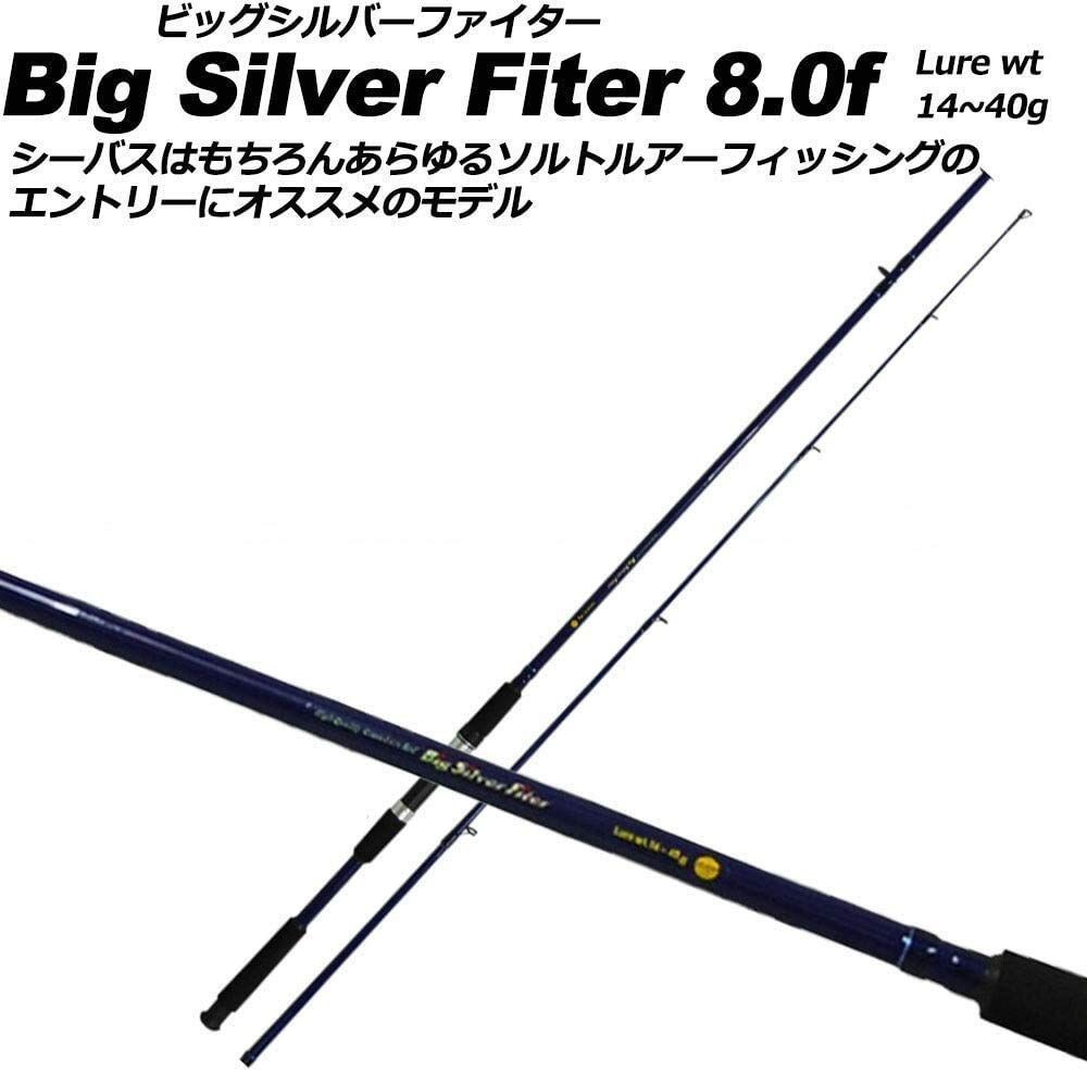 Basic Spinning Seabass Rod 8ft for Beginners, Silver Color, Used