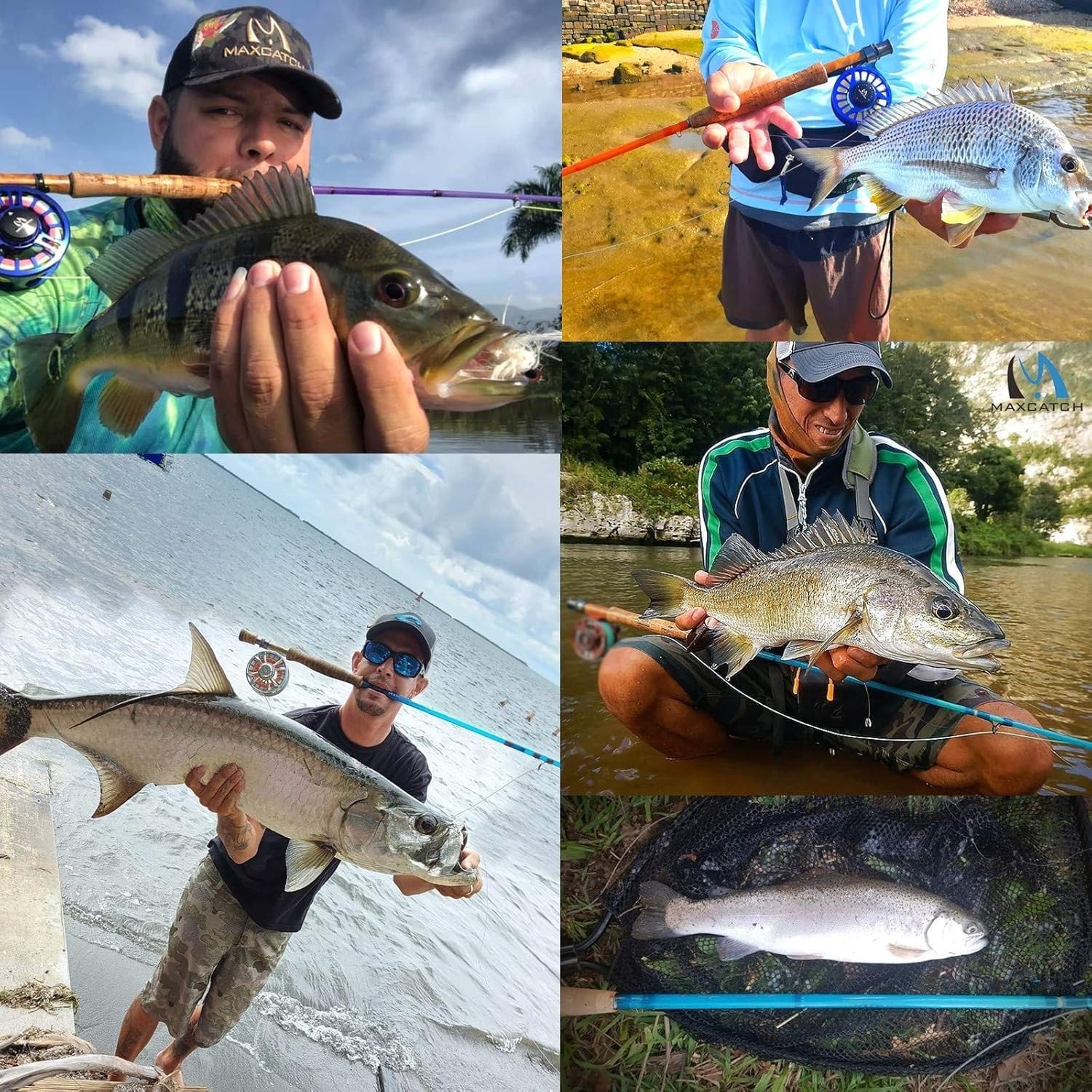 Fly Fishing Rod: 3wt/ 5wt/ 6wt/8wt in Blue,Orange, Purple or Transparent
