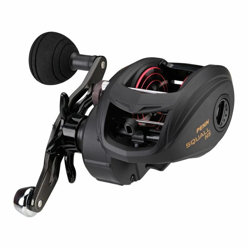 NEW Penn SQUALL Low Profile Baitcast Reel High Speed