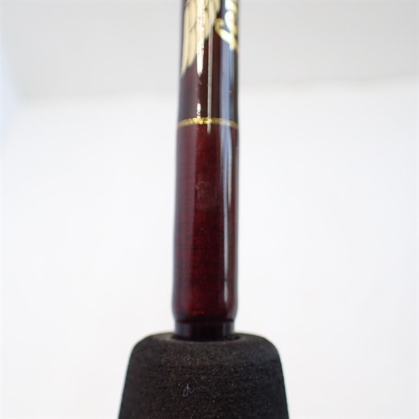 Fenwick. Golden Wing GW62CMLJ Cond/C