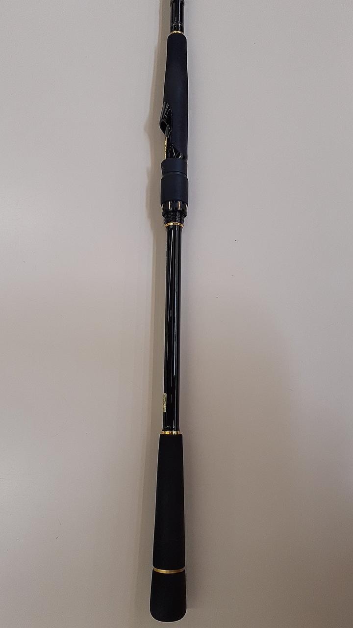 Excellent Daiwa Lateo 96Ml-R 05800035 Sea Bass Rod Rod