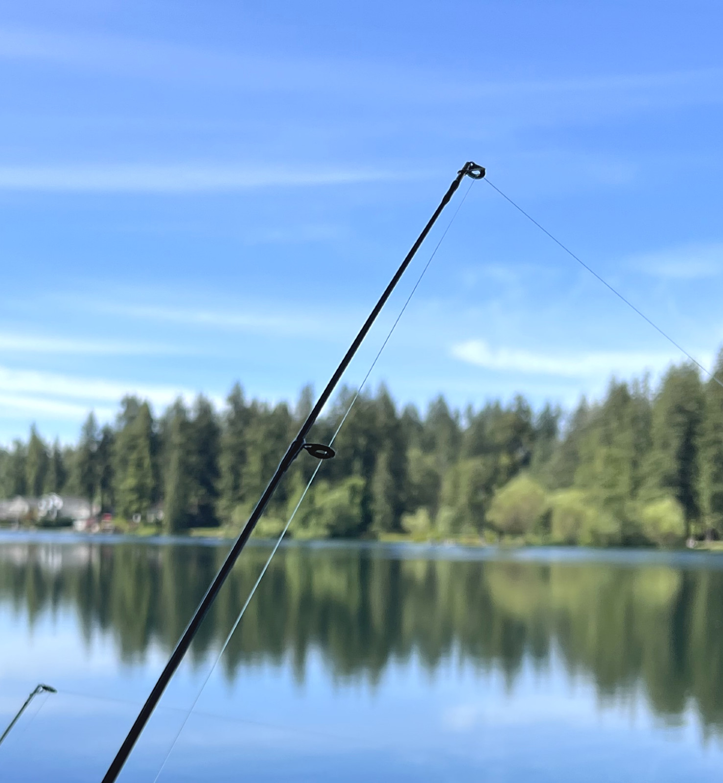 Fishing Pole Spinning Rod Carbon Fiber Portable Medium Fast Lightweight 7f 8f 9f
