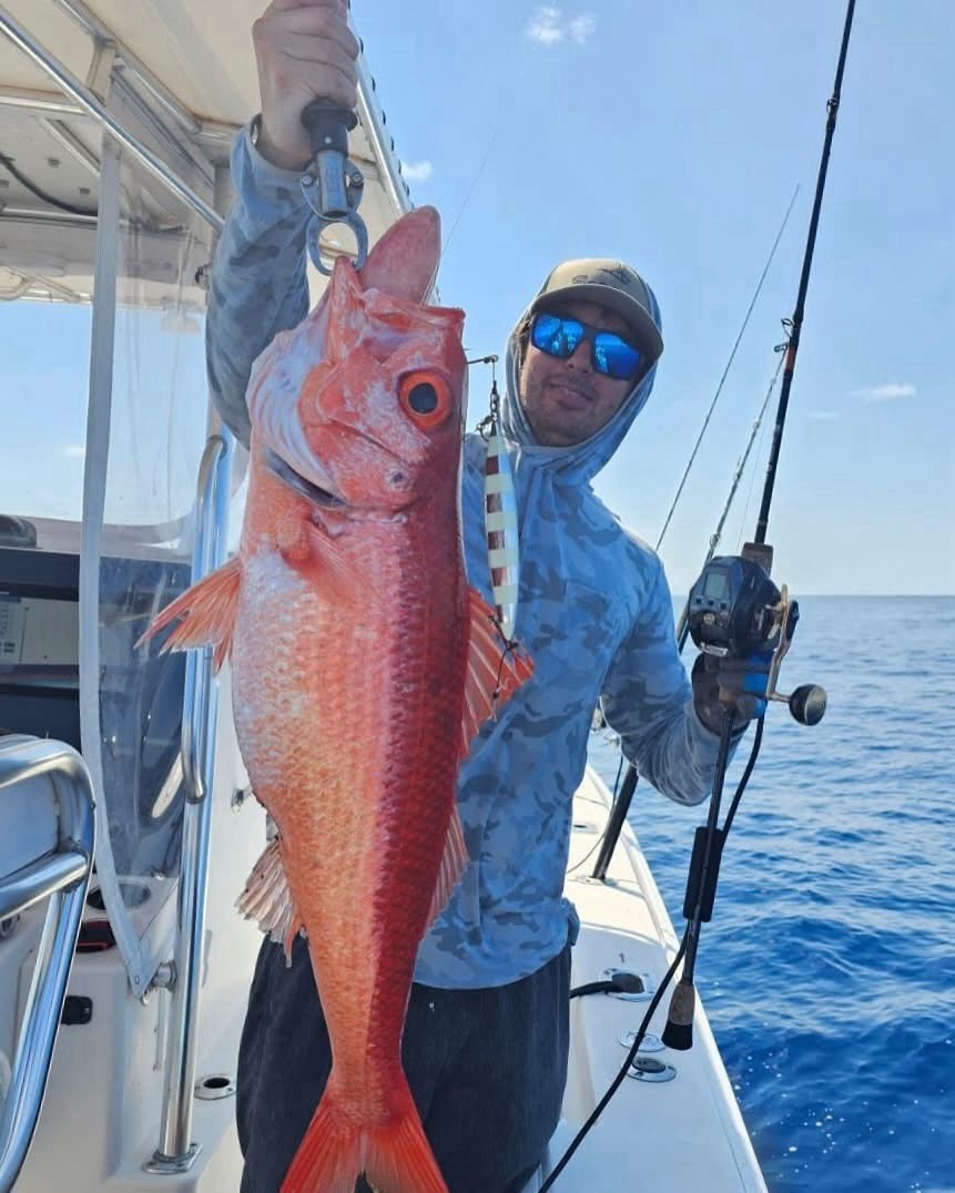 2025 Palmarius P Series Gen 2 Slow Pitch Jigging Rods