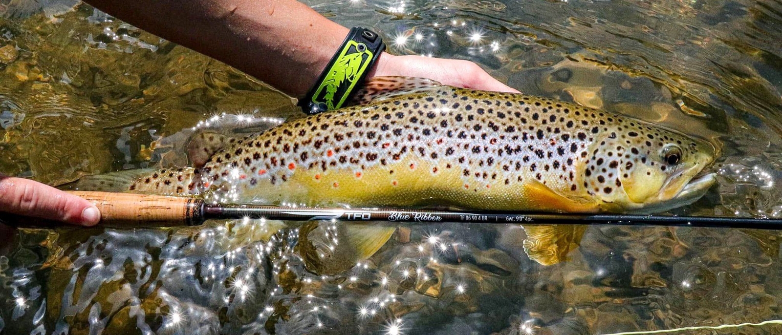 TFO Blue Ribbon 4wt 9’0″ – Lifetime Warranty | FREE SHIPPING