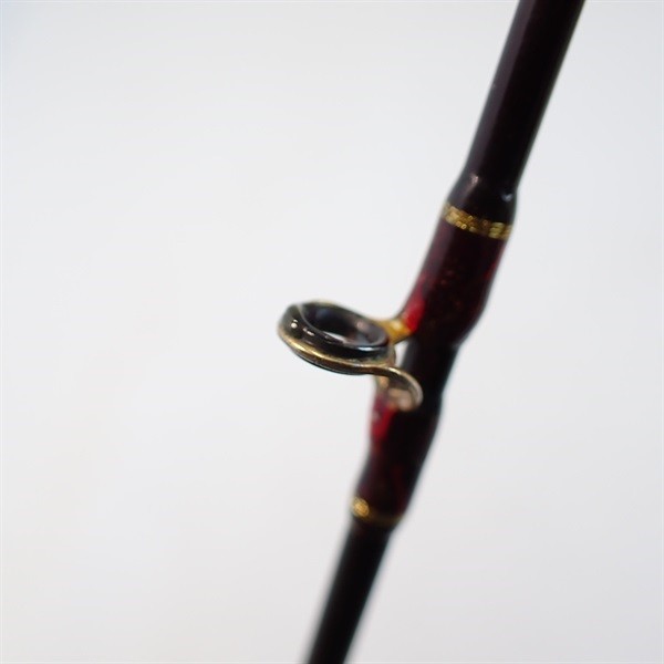 Fenwick. Golden Wing GW62CMLJ Cond/C