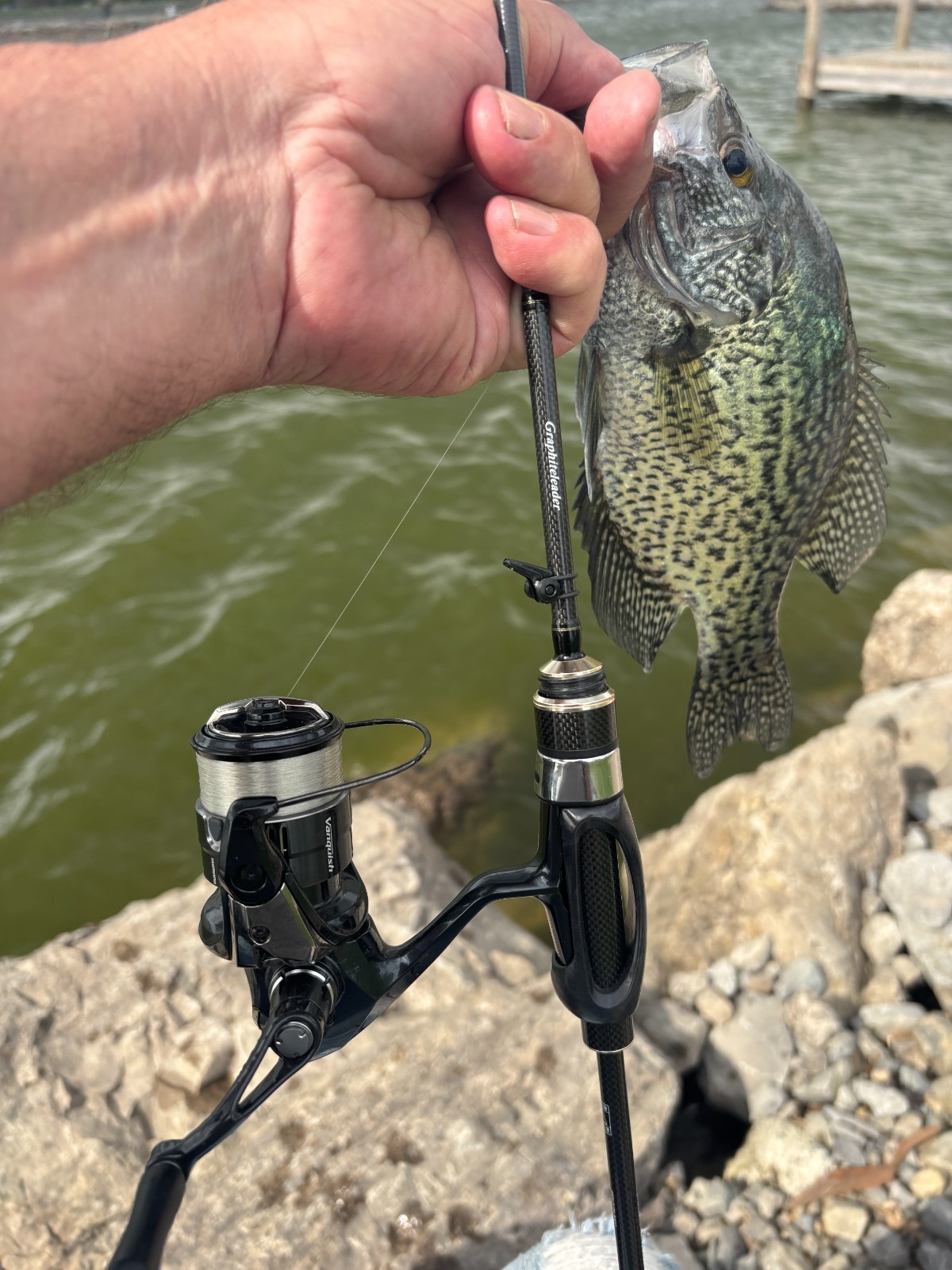 Olympic Graphiteleader Bellezza UX-622SUL-T Spinning JDM Ultra Light US Seller