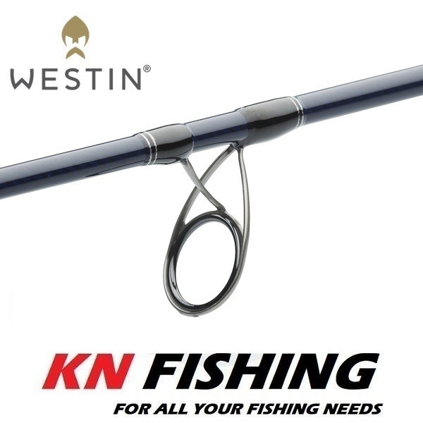 WESTIN W2 ROCKSHORE APEX PREDATOR 2.90m Shore Jigging Rod 20-80gr 2sec