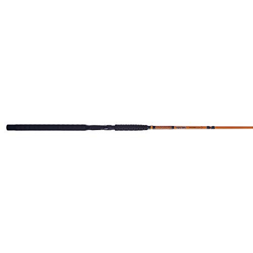 Catfish Special Casting Fishing Rod – Fishing Rod for Catfish