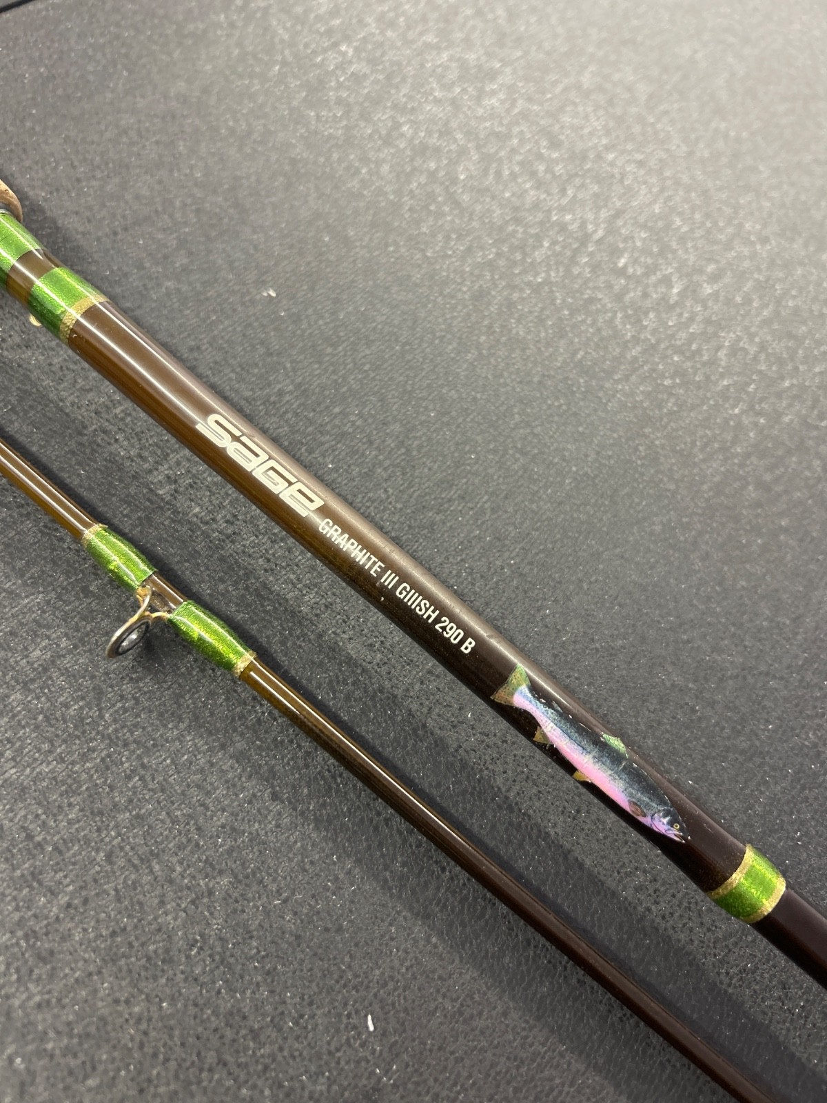 RARE Sage graphite III SH 290 salmon / steelhead fishing rod