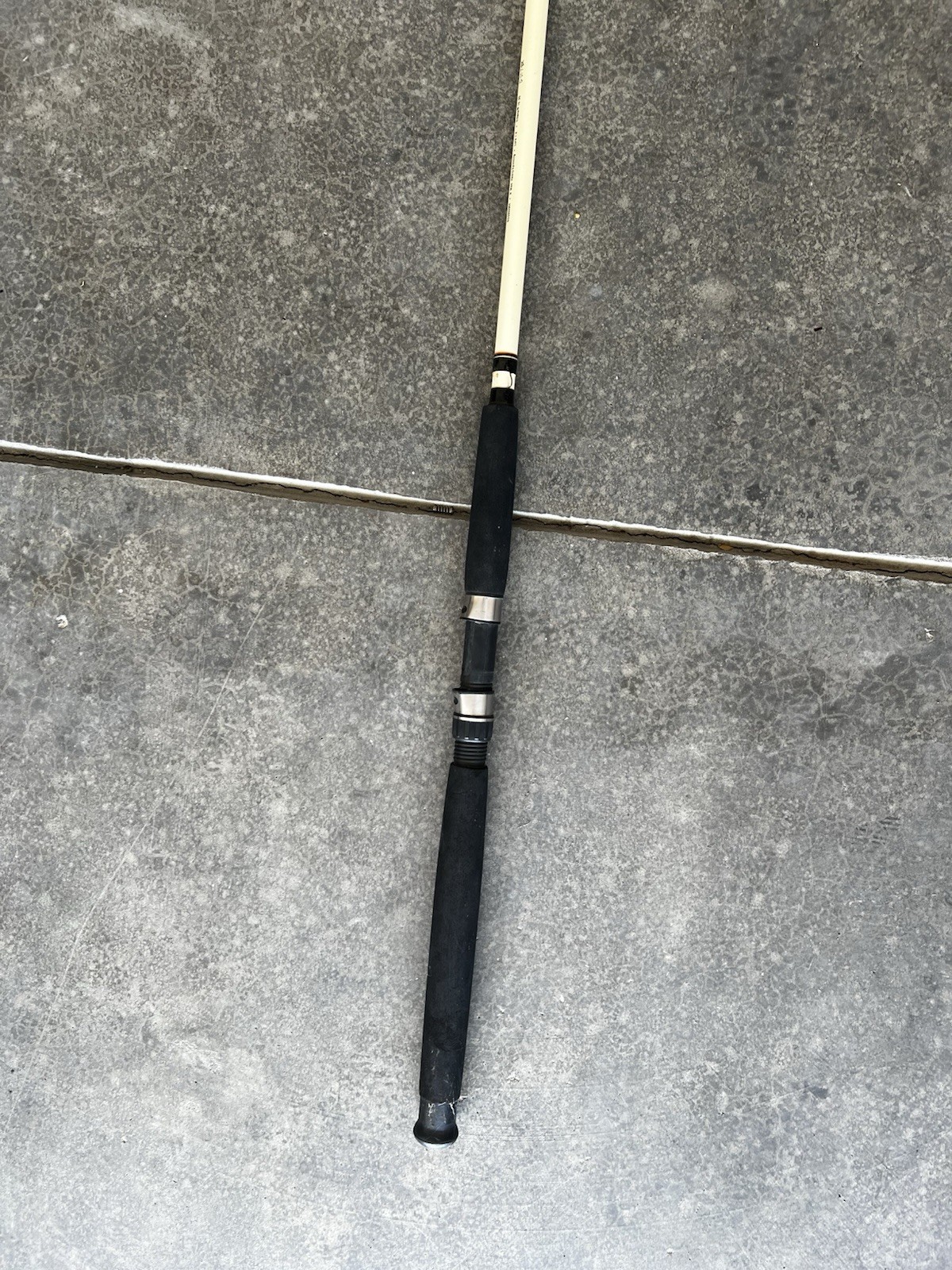 Big Game Spinning Fishing Rod – 8ft Medium Heavy with Fast Action for Anglers