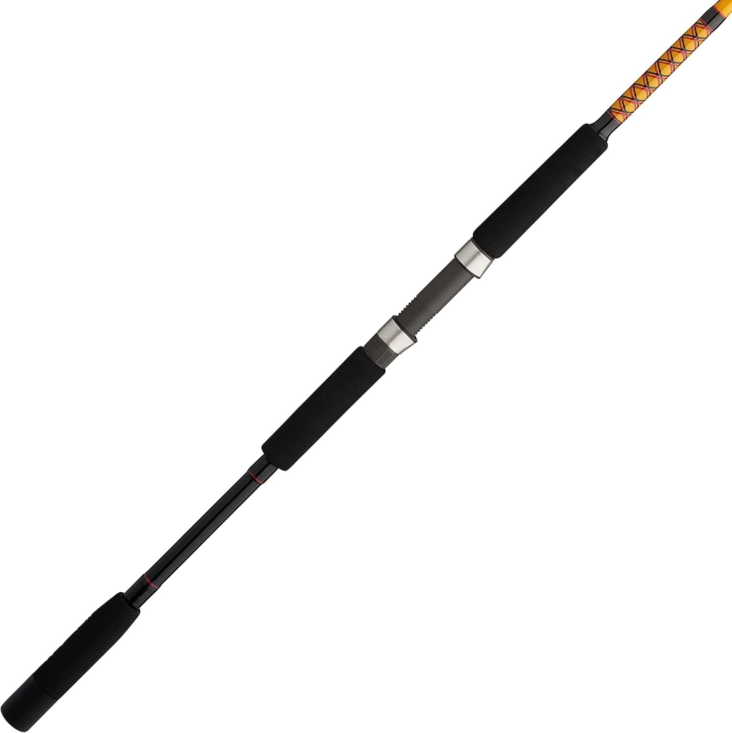 Bigwater Spinning Fishing Rod
