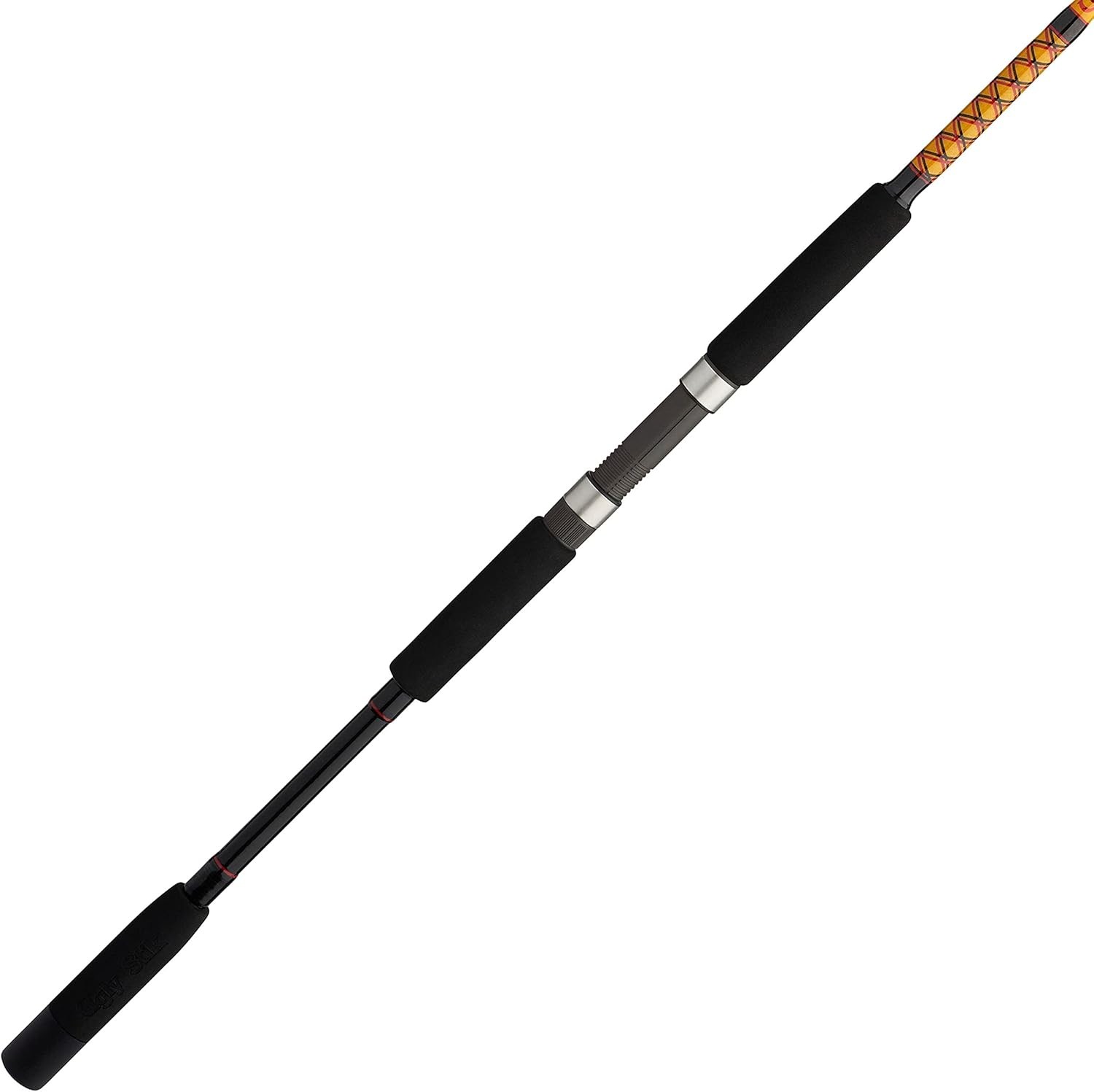 Bigwater Spinning Fishing Rod