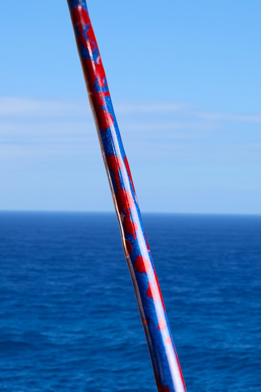 Custom Fishing Rod with Real Shark Skin Grips and Awesome Paint Job