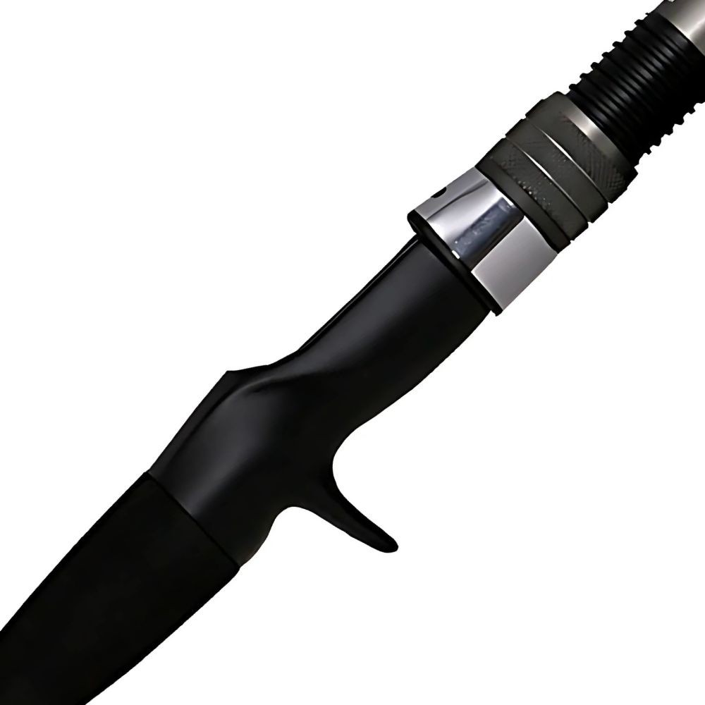 NS BLACK HOLE Saltwater Boat Allround Baitasting Rod MAGIC EYE TORQUE TJ582B