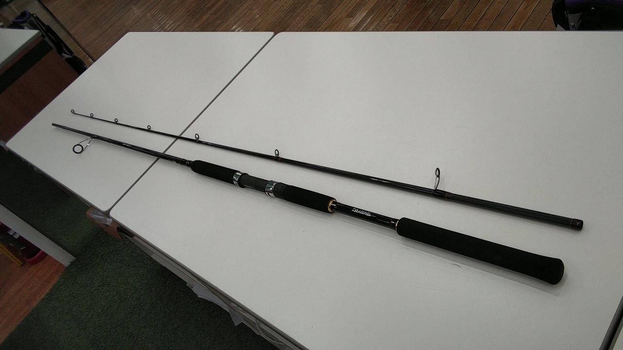 Daiwa Shore Jigging Rod MX96M 9’6″ 2-Piece 10-60g PE1-2 Line Fishing Gear