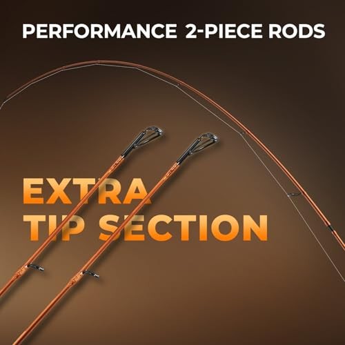 Lethal Blaze Twin-Tip Fishing Rods, IM6 Graphite Blanks Casting & Spinning
