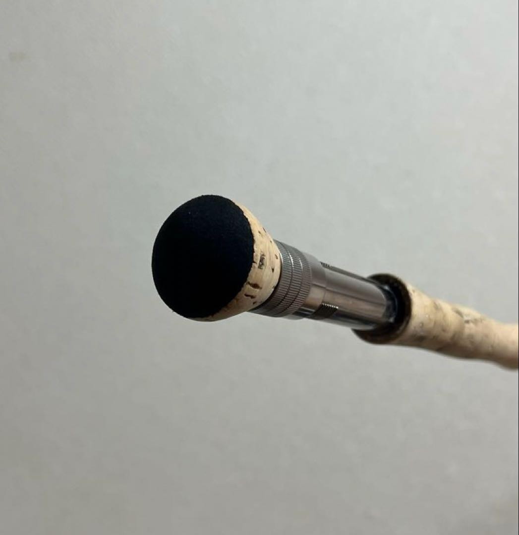 ORVIS Trident PM-10+ Fly Rod, #8 Line