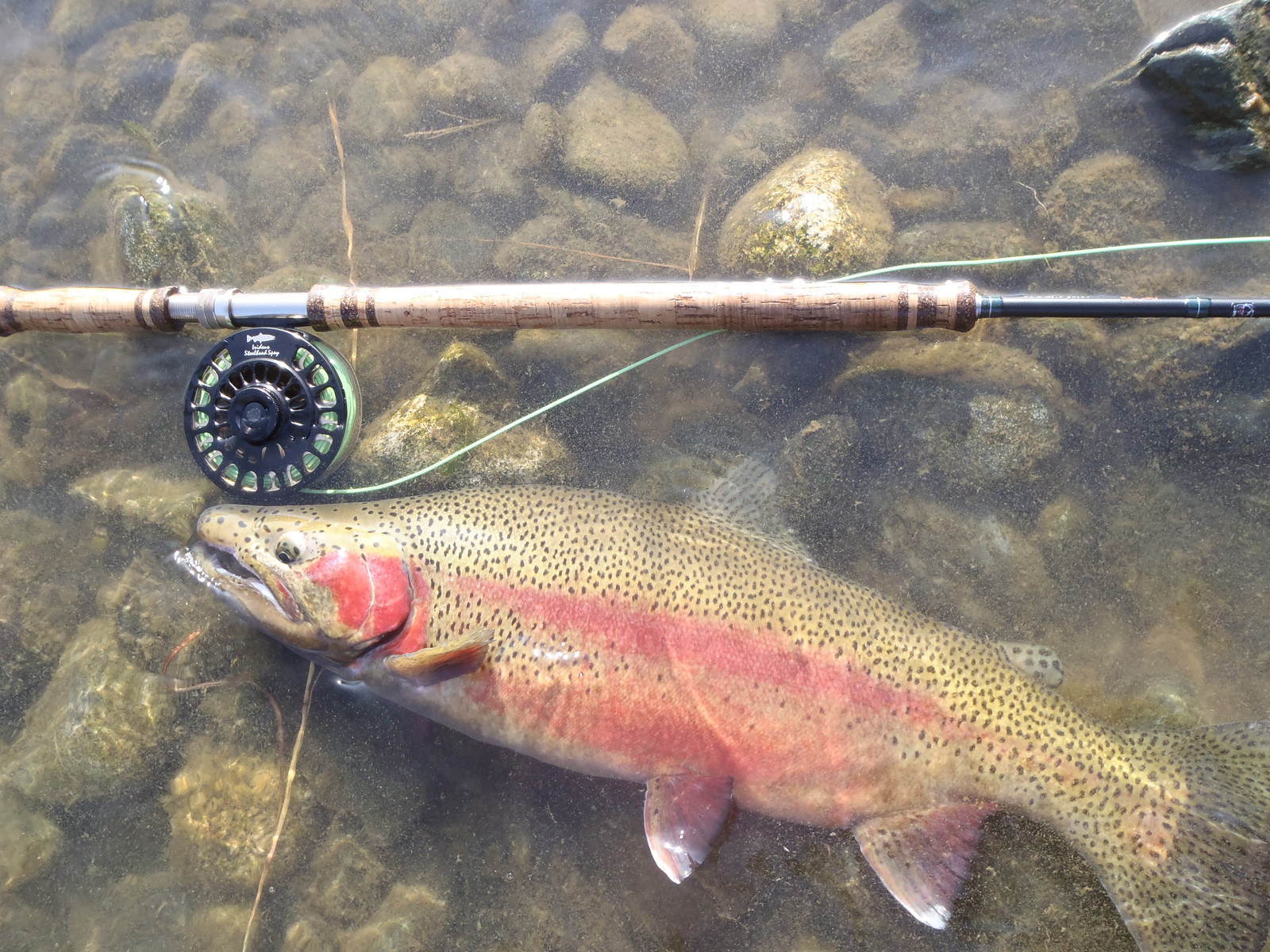 Irideus Salmon Fly Fishing Reel Large Arbor Steelhead Spey Edition 8wt -10 wt