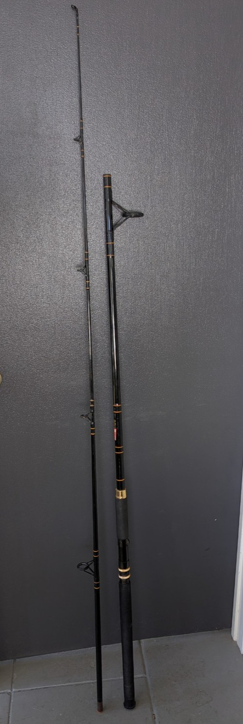 Vtg ABU Garcia 2pc BGS 8410 10’ Med Heavy Action Surf Fishing Rod 12-25lb Line