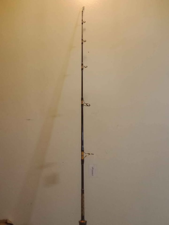 Fiblink 1-Piece Saltwater Offshore Trolling Rod Big Game Rod