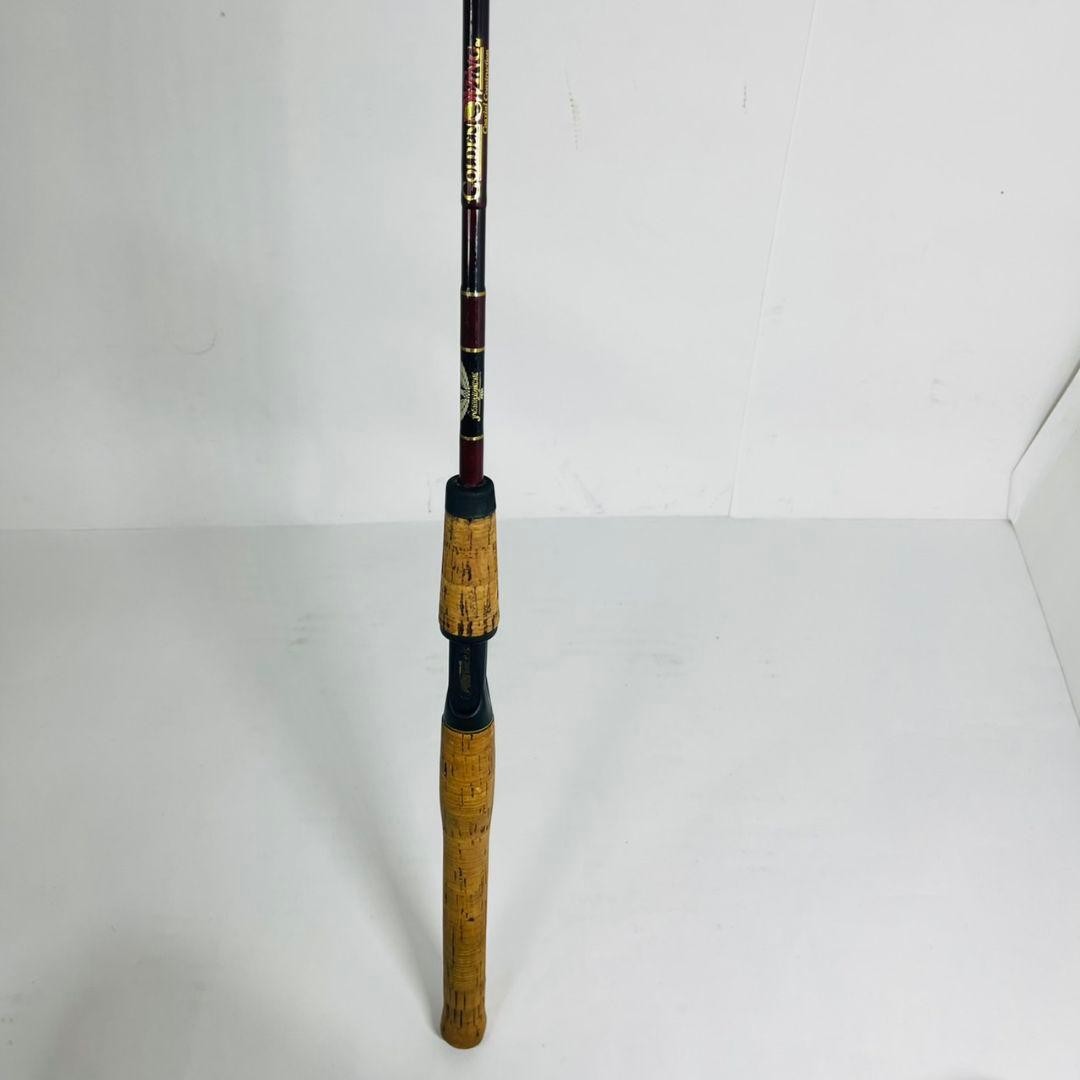 Fenwick Golden Wing GW 66C Spinning Rod Used, Light Wear