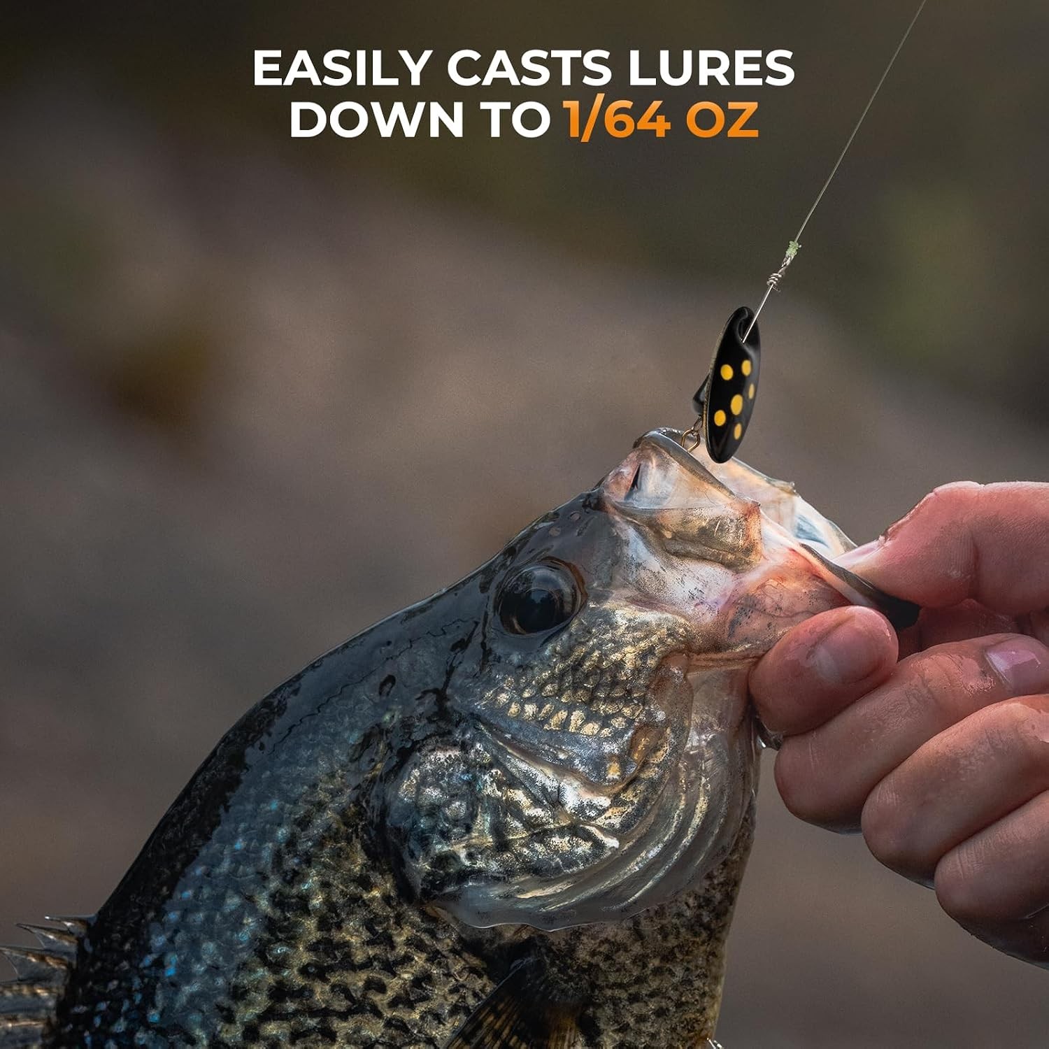 Zephyr Finesse Fishing Rods – BFS Baitcasting & Spinning Rods IM6 Graphite Extra