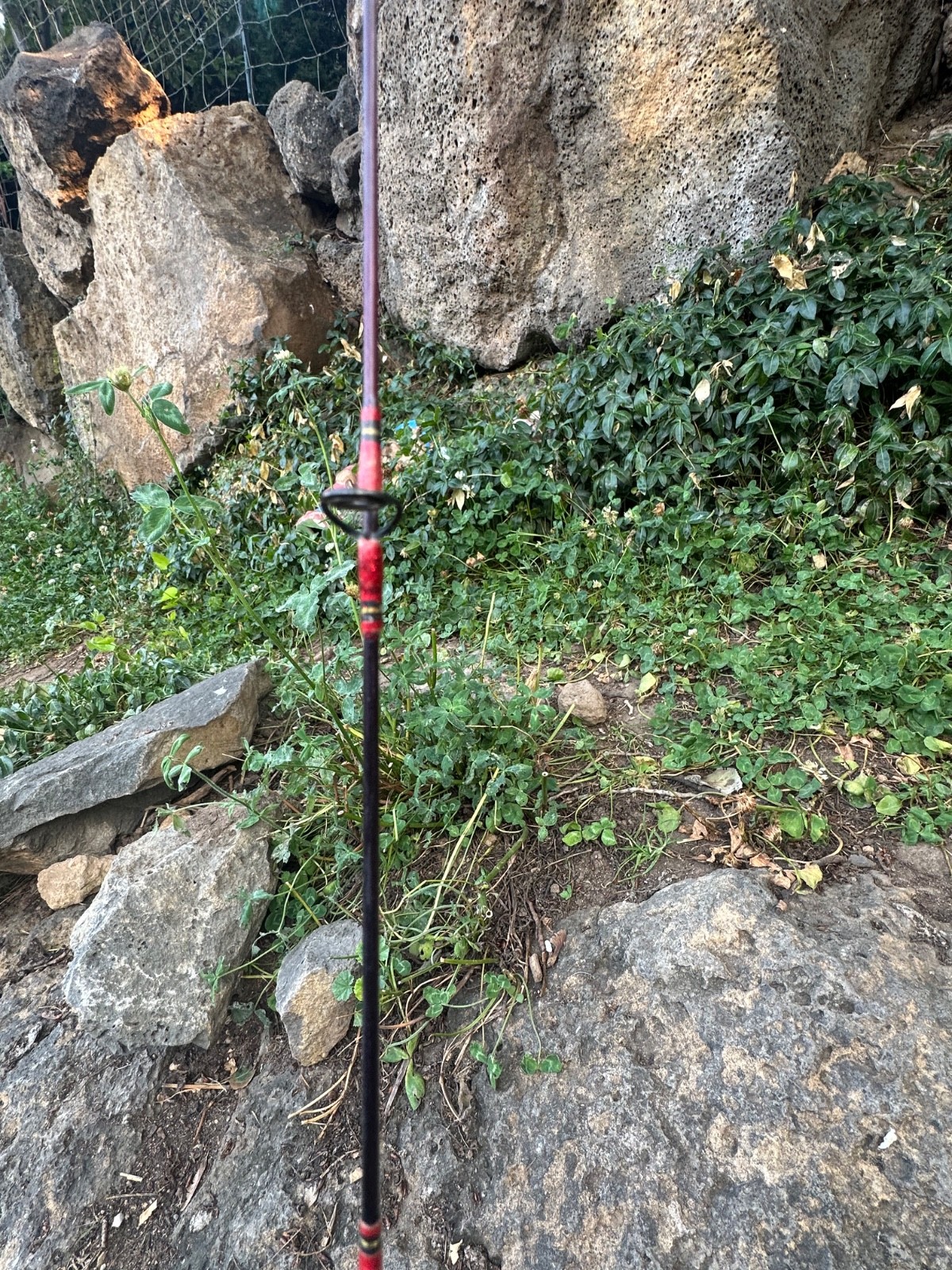 Bass Pro Shops IM7 Graphite Casting Fishing Rod 5′ 6″ 1 Piece Tourney Special