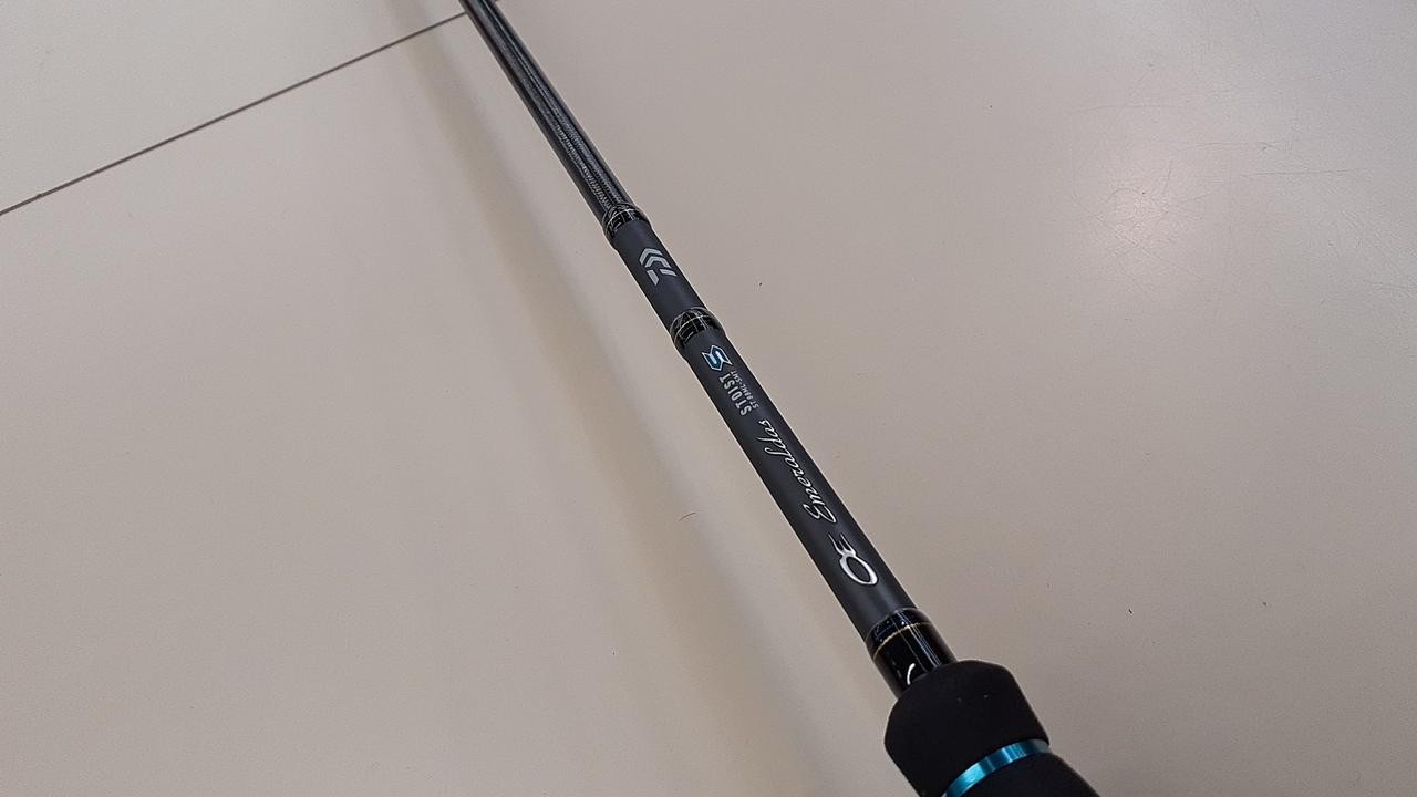 Daiwa Eging Rod 88in/8ft8in, 90g, 2-piece, with case, Fishing Equipment