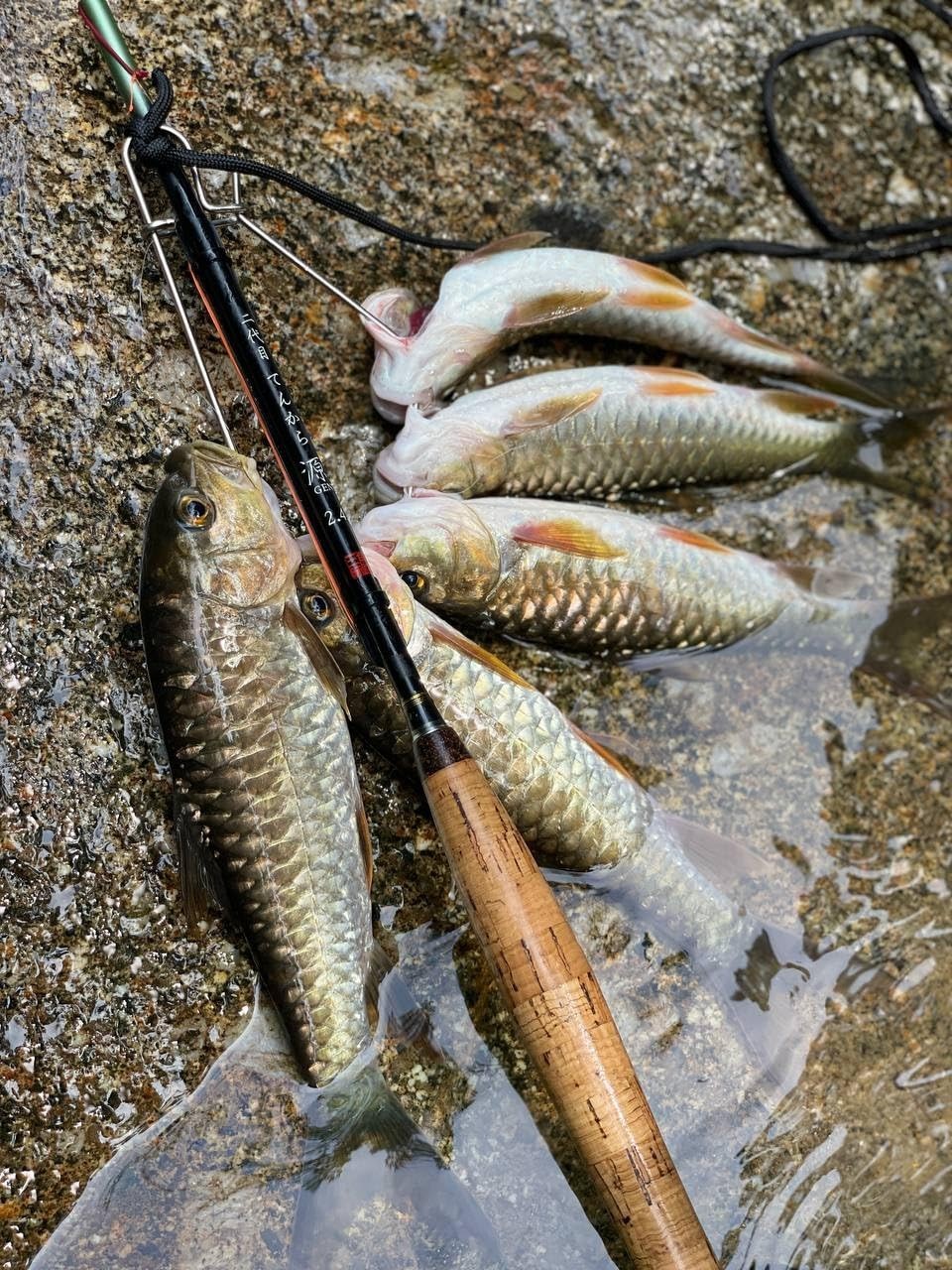 Uozuri Zanmai Nidaime Tenkara Gen 300 3.0m / 9.8ft 7:3 Rod From Japan