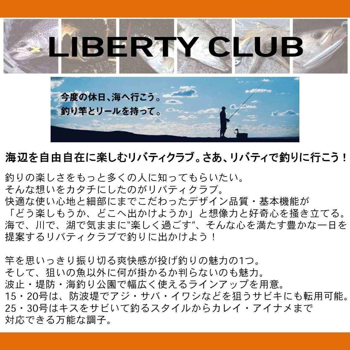 DAIWA Throwing rod / swing LBTC Liberty Club SURF 25-420