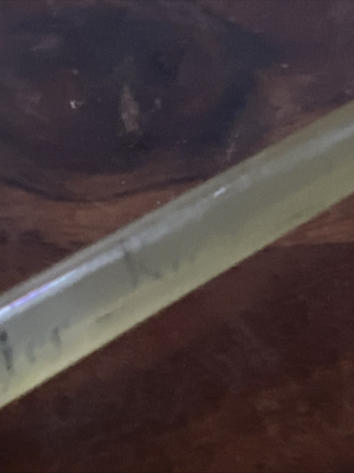 Vintage Water King Bait Casting Clear Fiberglass Rod w/ Rubber Grip 5’10” 2pc