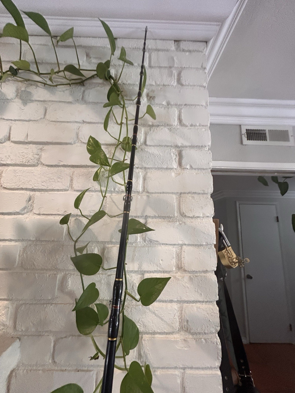 Kimura of Hawaii Hawaiian Series Fishing Rod E665 20-50lb 6.5” Roughy Water