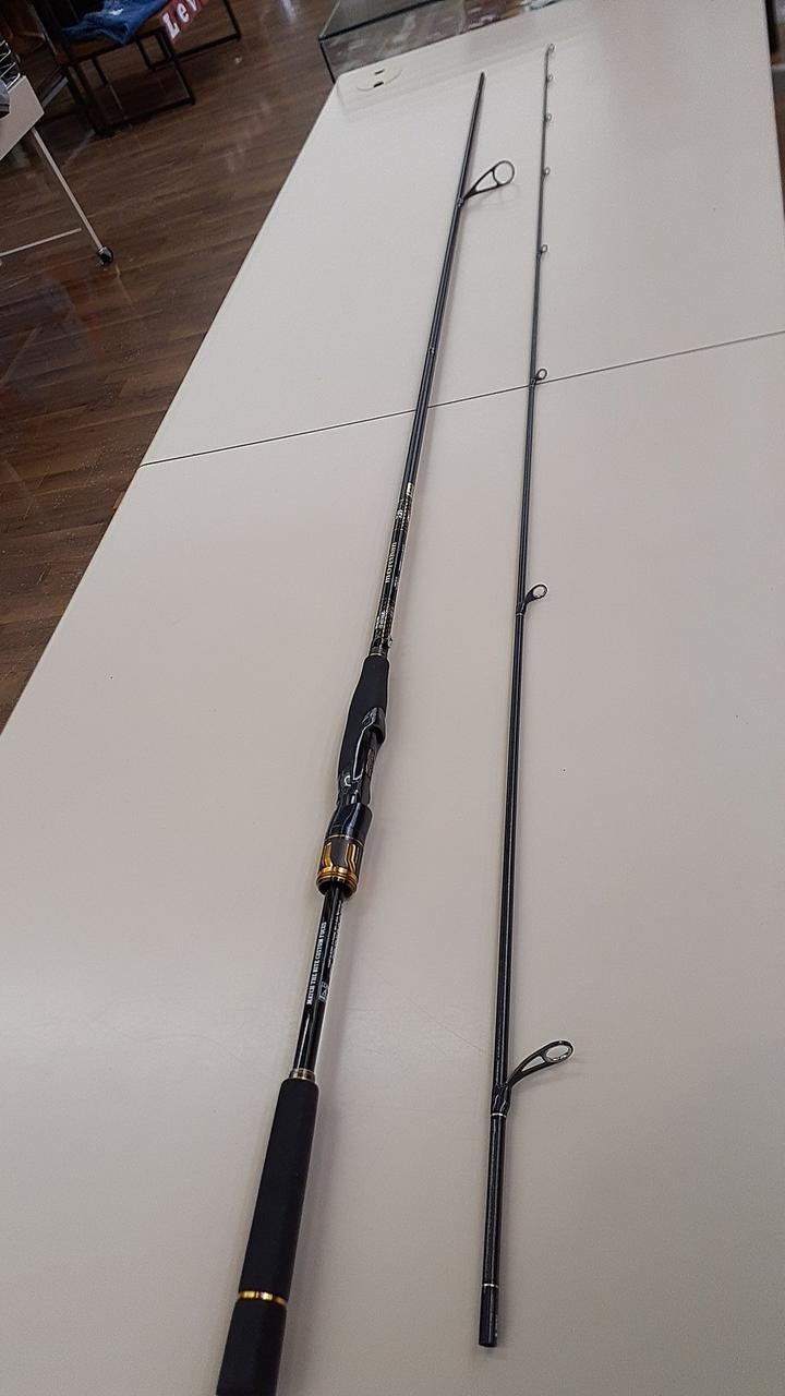 Daiwa Morethan EX AGS 94LML Seabass Fishing Rod 2.85m (112in) 105g, 2-piece